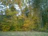 db_Cimg00762.jpg - 