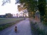 db_Cimg00842.jpg - 