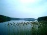 db_a_CIMG00471.jpg - 