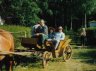 db_bryczka-web1.jpg - 