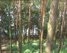 db_uvs050212-0091.jpg - 